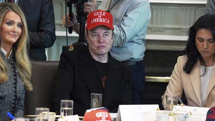 Elon Musk am Mittwoch bei einer US-Kabinettssitzung im Weißen Haus.