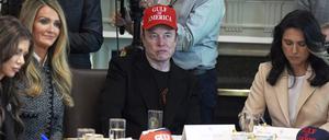 Elon Musk am Mittwoch bei einer US-Kabinettssitzung im Weißen Haus.