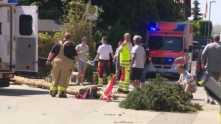 Der umgestürzte Maibaum liegt auf der Straße vor einem Einsatzwagen der Feuerwehr. 