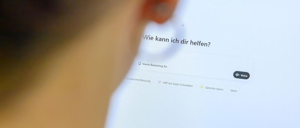 Nur 27 Prozent der Befragten aus Deutschland prüfen KI-generierte Texte, Bilder oder Übersetzungen. (Symbolbild)