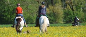 Reiterinnen und eine Radfahrerin sind am 1. Mai im Wiesental bei Daugendorf im Sonnenschein unterwegs.