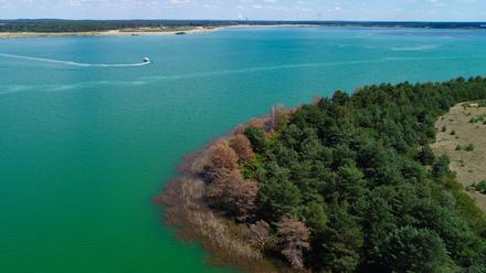 Der Sedlitzer See im Lausitzer Seenland war vor ein paar Jahren noch eine Grube ohne jedes Leben. 