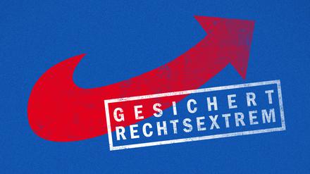 Kommt es jetzt vor dem Bundesverfassungsgericht zu einem Verbotsverfahren gegen die AfD?