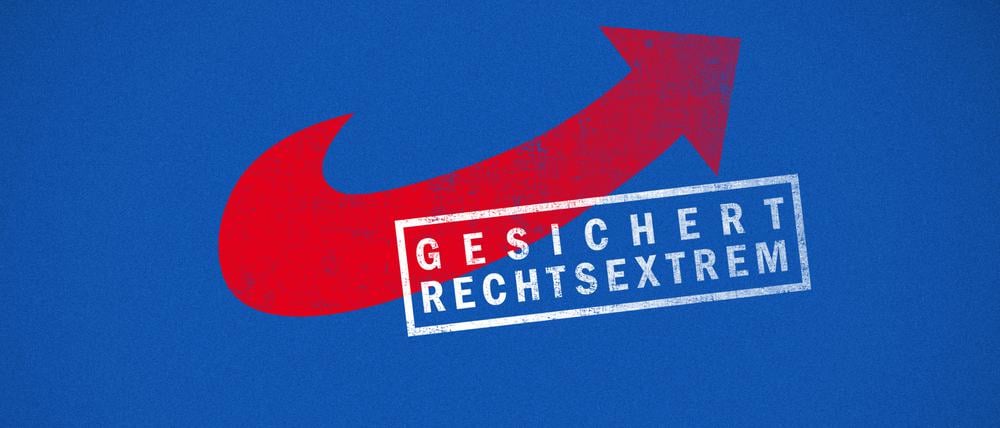 Kommt es jetzt vor dem Bundesverfassungsgericht zu einem Verbotsverfahren gegen die AfD?