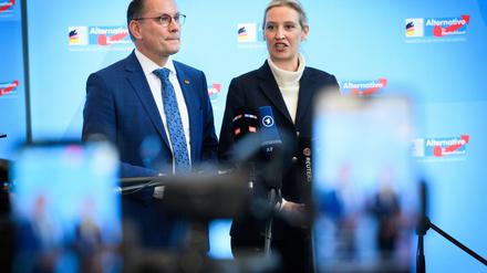 Alice Weidel und Tino Chrupalla stehen gemeinsam an der Spitze von Partei und Fraktion. (Archivfoto)