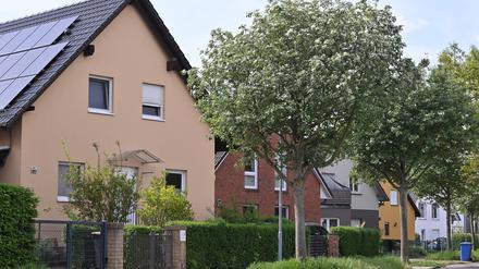 Rare Ware: Einfamilienhäuser in einer Straße im Bornstedter Feld. 