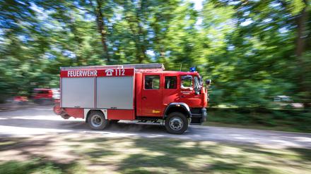 Ein Wald brannte auf mehr als vier Hektar. (Symbolbild)