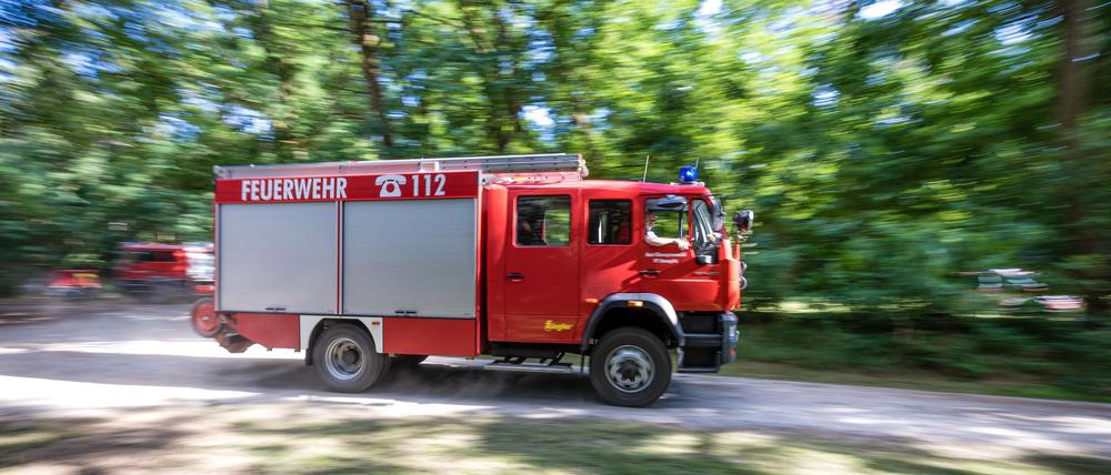 Ein Wald brannte auf mehr als vier Hektar. (Symbolbild)