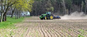 Im Mittelpunkt der Messe soll das hautnahe Erleben regionaler und moderner Landwirtschaft und ihrer Produkte stehen. (Archivbild)
