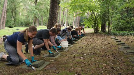 Gräberpflege auf dem Waldfriedhof Zehlendorf, unterstützt vom Volksbund Deutsche Kriegsgräberfürsorge.
