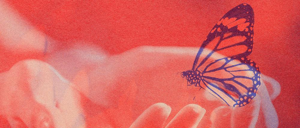 Verheddert im Vielleicht: Viele tragen große Lebensträume mit sich herum, die nie wahr wurden.