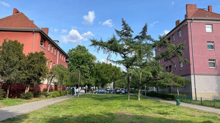 Umbau des Rosengartens in Reinickendorf