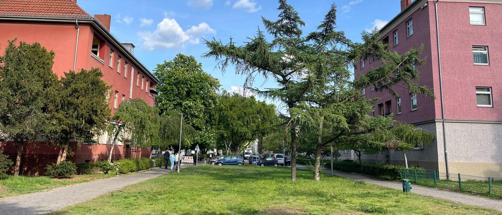 Umbau des Rosengartens in Reinickendorf