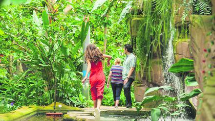 Kinderführung im Botanischen Garten Berlin