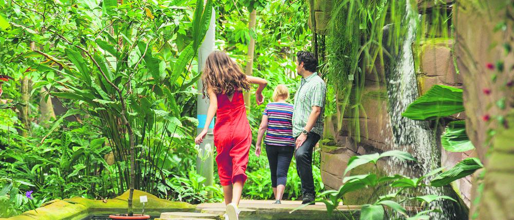 Kinderführung im Botanischen Garten Berlin