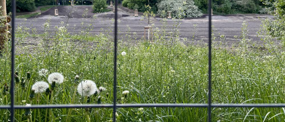 Der vierte Bauabschnitt des Projekts „Klimaresiliente Hasenheide“. Bezirksamt Neukölln