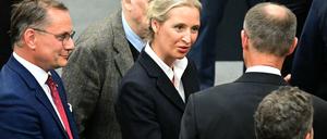 AfD-Chefin Alice Weidel gratuliert Kanzler Friedrich Merz.