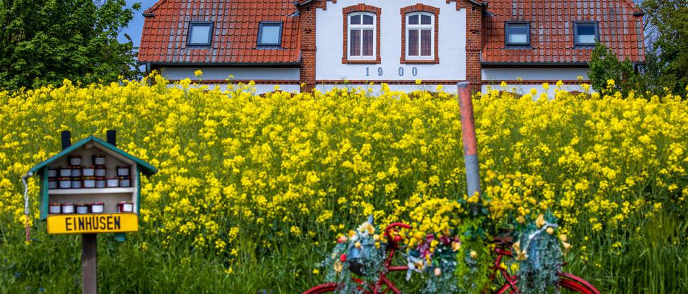 Ferienhäuser werden immer häufiger online vermittelt.