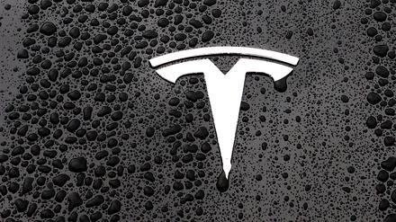 The logo of Tesla is seen on a Tesla car in Brussels, Belgium April 24, 2025. REUTERS/Yves Herman