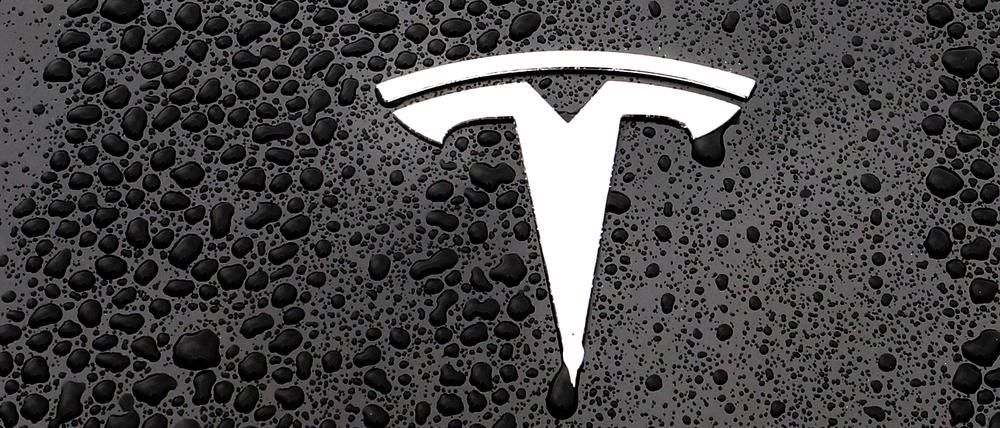 The logo of Tesla is seen on a Tesla car in Brussels, Belgium April 24, 2025. REUTERS/Yves Herman