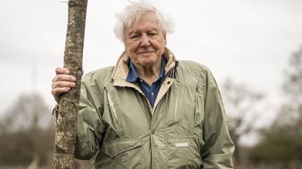 Sir David Attenborough, Naturforscher und Tierfilmer aus Großbritannien (Archivbild). 