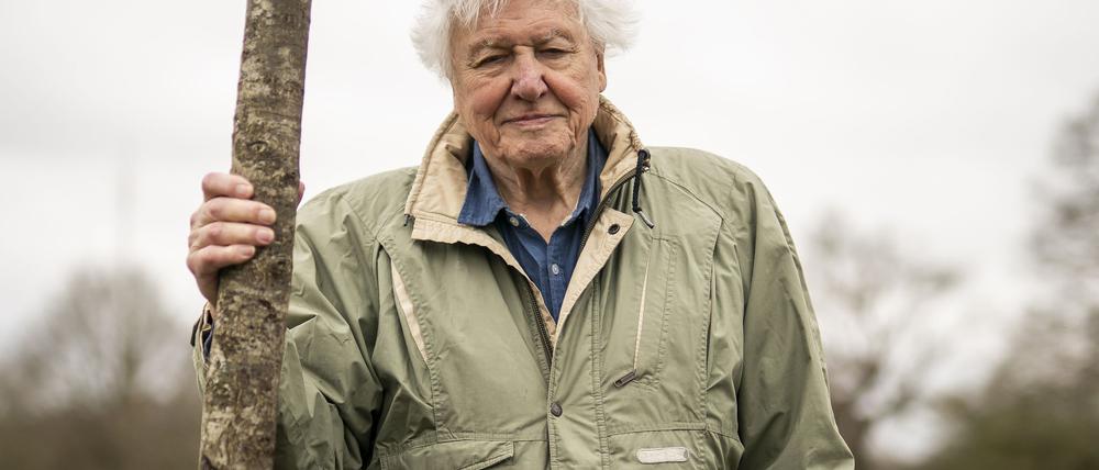 Sir David Attenborough, Naturforscher und Tierfilmer aus Großbritannien (Archivbild). 