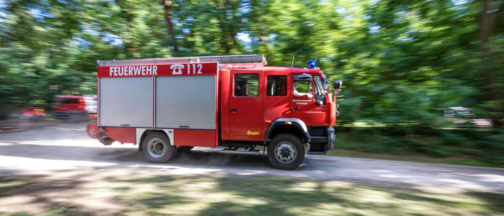 Die Feuerwehren in Brandenburg haben wegen Waldbränden jede Menge Einsätze. (Archivbild)