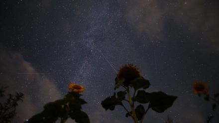 Sternschnuppen der Perseiden sind neben der Milchstraße am Nachthimmel zu sehen. (zu dpa "Feuerwerk kosmischer Teile - Perseiden verglühen am Sternenhimmel") +++ dpa-Bildfunk +++