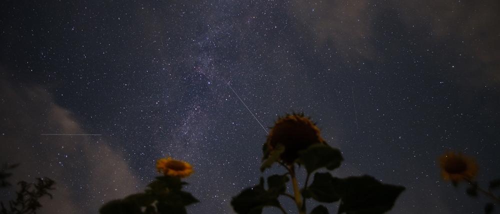 Sternschnuppen der Perseiden sind neben der Milchstraße am Nachthimmel zu sehen. (zu dpa "Feuerwerk kosmischer Teile - Perseiden verglühen am Sternenhimmel") +++ dpa-Bildfunk +++