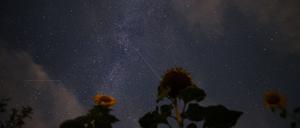 Sternschnuppen der Perseiden sind neben der Milchstraße am Nachthimmel zu sehen. (zu dpa "Feuerwerk kosmischer Teile - Perseiden verglühen am Sternenhimmel") +++ dpa-Bildfunk +++