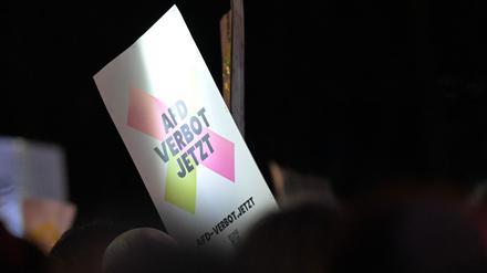 Demonstrationen sind auch in Brandenburg am Wochenende bei einem bundesweiten Aktionstag gegen Rechtsextremismus und für ein AfD-Verbot geplant. (Archivbild) 