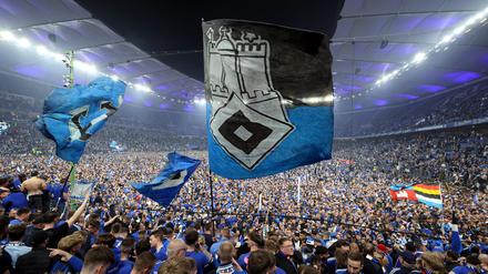 Platzsturm nach Aufstieg: HSV-Fans auf dem Rasen des Volksparkstadions. 