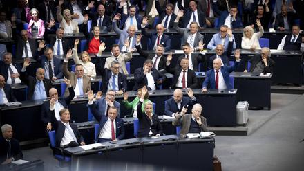 Die AfD-Fraktion im Bundestag. 