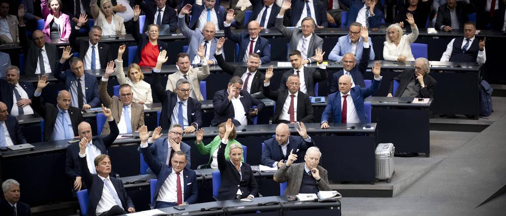 Die AfD-Fraktion im Bundestag.