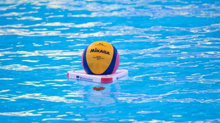 Spandau 04 steht mal wieder im Finale der Wasserball-Bundesliga.