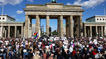 Demonstrierende fordern vor dem Brandenburger Tor ein Verbot der AfD.