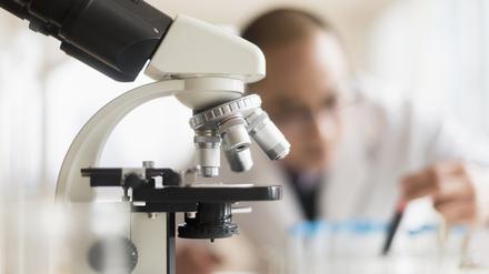Ein Forscher vor einem Mikroskop. In den USA wird derzeit auch biomedizinische Forschung von Trumps Kürzungen eingeschränkt.