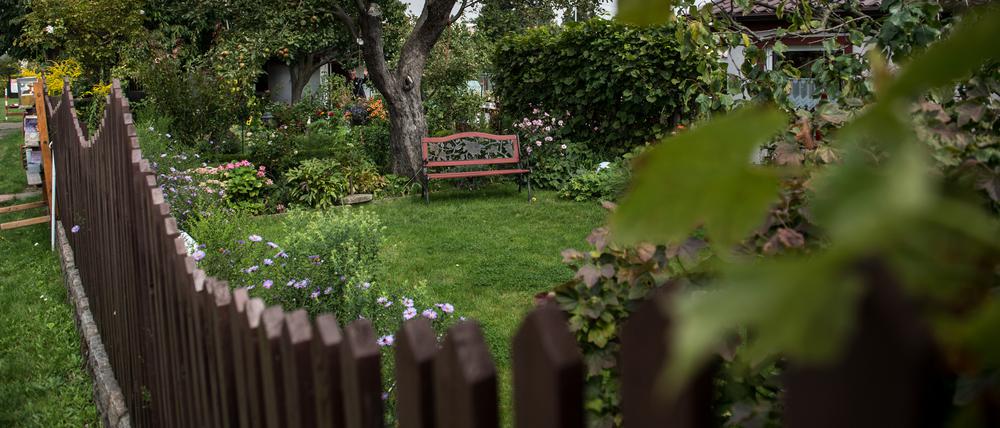 Grüne Oasen mitten in der Stadt: In Berlin gibt es mehr als 70.000 Kleingärten.