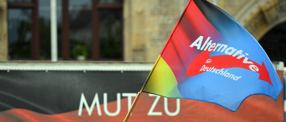 Eine Fahne mit dem Parteilogo der AfD weht während einer Kundgebung der AfD Sachsen-Anhalt auf dem Marktplatz (Symbolbild).