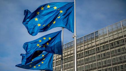 Die EU soll nach Einschätzung von deutsch-französischen Ökonomen Freihandelsabkommen vorantreiben. (Archivbild)