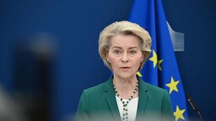 Auf dem Bild ist Ursula von der Leyen vor einer Europa-Flagge zu sehen.