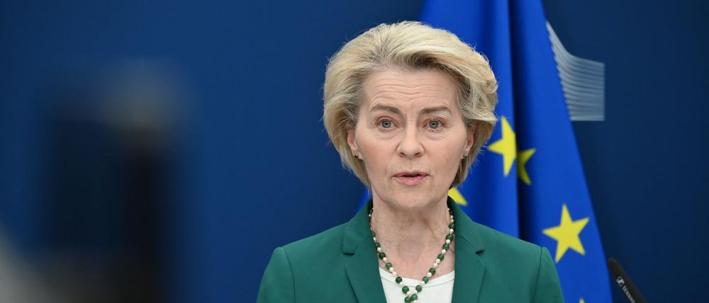 Auf dem Bild ist Ursula von der Leyen vor einer Europa-Flagge zu sehen.