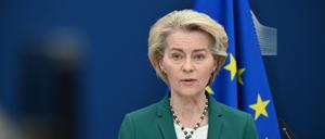Auf dem Bild ist Ursula von der Leyen vor einer Europa-Flagge zu sehen.