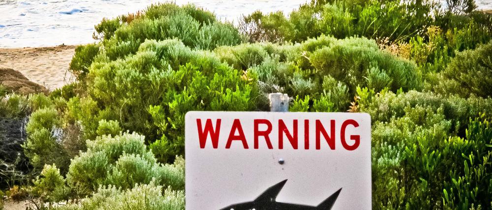 Die Gewässer rund um Australien sind berühmt-berüchtigt: Es kommt immer wieder zu Haiangriffen auf Schwimmer und Surfer. (Symbolbild)