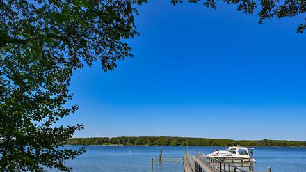 Ungetrübter Badespaß? Die Wasserqualität jedenfalls gilt bei fast allen der 250 ausgewiesenen Badegewässern in Brandenburg als ausgezeichnet. (Archivbild)