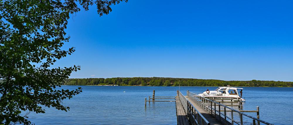 Ungetrübter Badespaß? Die Wasserqualität jedenfalls gilt bei fast allen der 250 ausgewiesenen Badegewässern in Brandenburg als ausgezeichnet. (Archivbild)