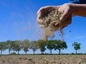Eine Frau zeigt trockenen Ackerboden auf einem Feld in Brandenburg.
