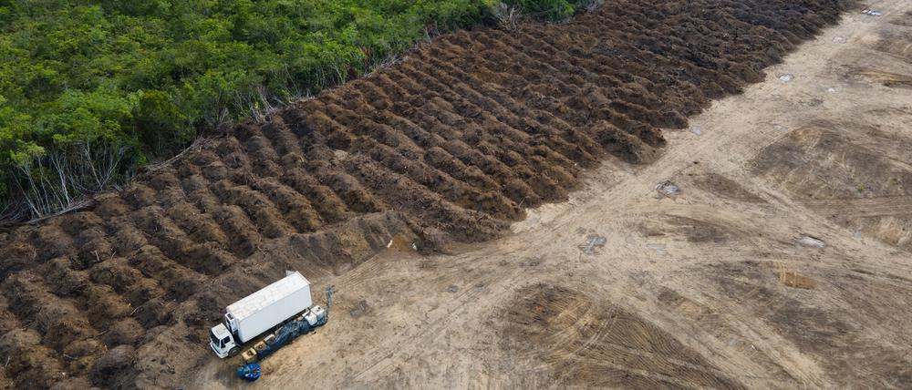 Der Amazonas ist ein zentrales Element im Klimasystem der Erde. Durch Abholzung gehen große Teile davon verloren.