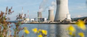 Das Tihange Kernkraftwerk in Belgien. 