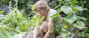 Gärtnern erdet: Andrea Jentsch, Herausgeberin des Buches „Gartentherapie zu Hause“.